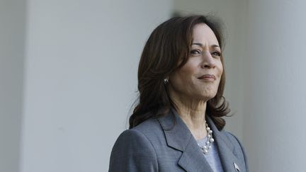 Présidentielle américaine 2024 : Kamala Harris a levé 81 millions de dollars en 24 heures, un record dans l'histoire du pays