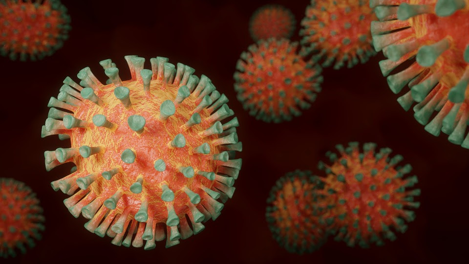 Coronavirus, Corona, Virus, Pandemie, Infectie