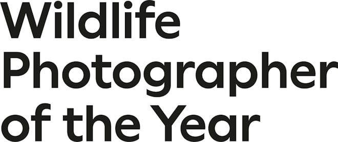 Wildlife Photographer of the Year