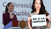 Laisha Wilkins pide a Sheinbaum que revise su caso tras mención en la Mañanera: ‘Hay irregularidades’