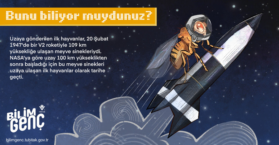 Türksat 6A