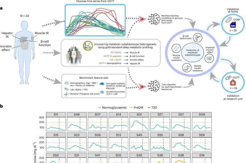 Researchers use AI to help predict and identify subtypes of Type 2 diabetes from simple glucose monitor