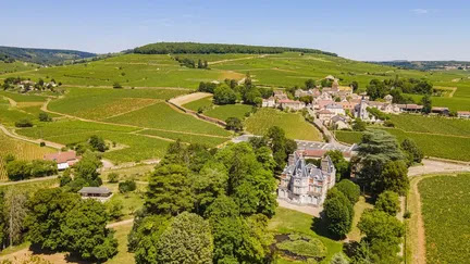 'Les joyaux de France finiront par appartenir au club des ultra-riches' : colère après le rachat mirobolant de vignes de Bourgogne par LVMH