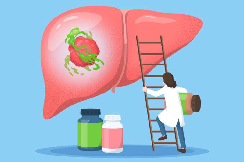 Bile acids exacerbate liver cancer, dietary supplement may offer relief