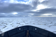 View from the bow of research vessel Norseman II pushes carefully through the ice, maneuvering for open water on a cloudy day