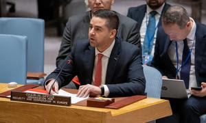 El Ministro de Asuntos Exteriores de Malta, Ian Borg, presidente en ejercicio de la Organización para la Seguridad y la Cooperación en Europa, informa a los miembros del Consejo de Seguridad de la ONU.
