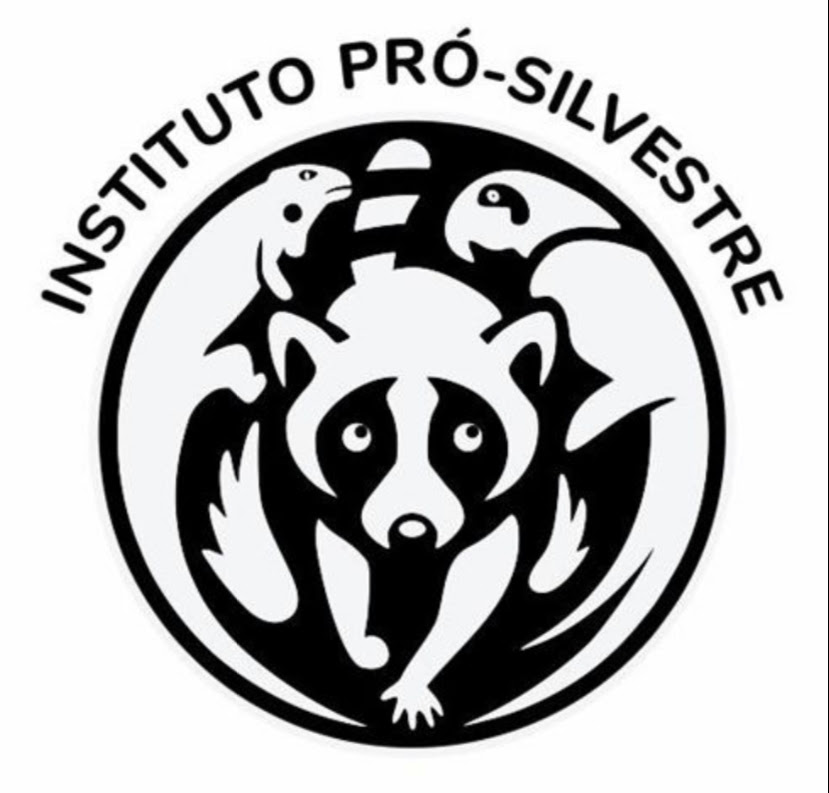 a black and white logo of a raccoon with two birds