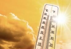 Aumento da temperatura: recomendações da DGS contra o calor