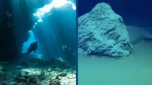 After finally reaching the bottom of the Red Sea scientists made a chilling discovery _medium