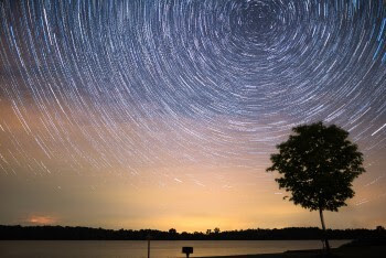 A towering tree stands still as the stars track across the sky in a long-exposure shot.