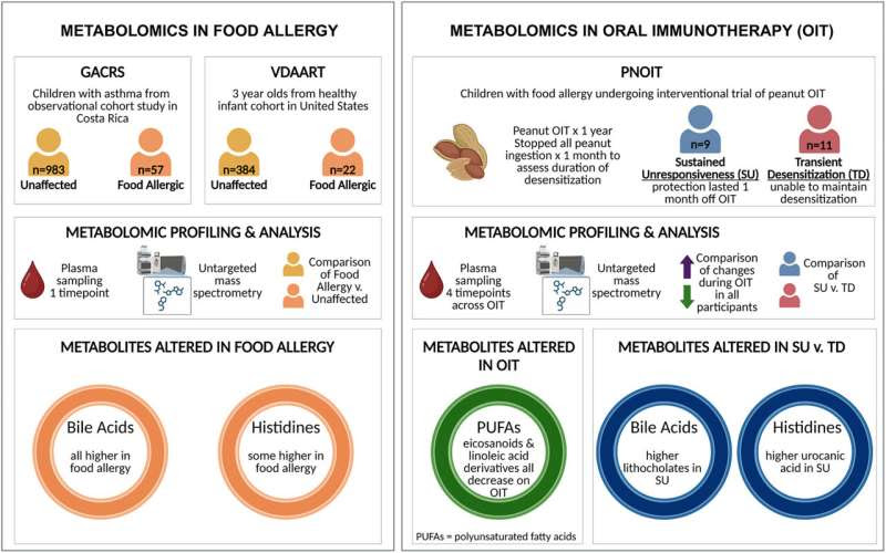 Study reveals importance of bile acids and other metabolites in food allergies and treatment