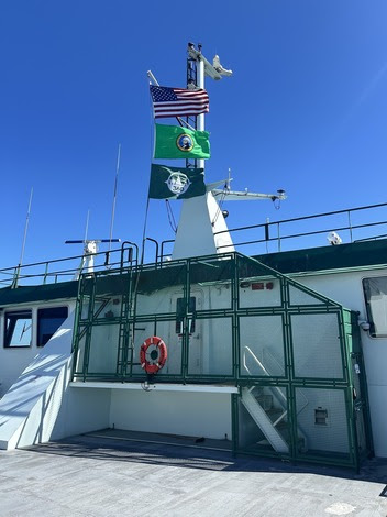 Ship deck with flags, including the American flag, a green flag and a blue flag, with a life preserver on the railing.
