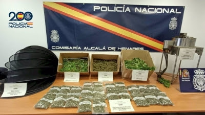 Sucesos.- Desmantelan en Alcalá de Henares una plantación familiar de marihuana gestionada por padre e hijo