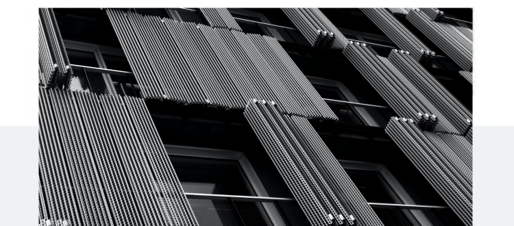 Black and white close up photo of windows and cladding