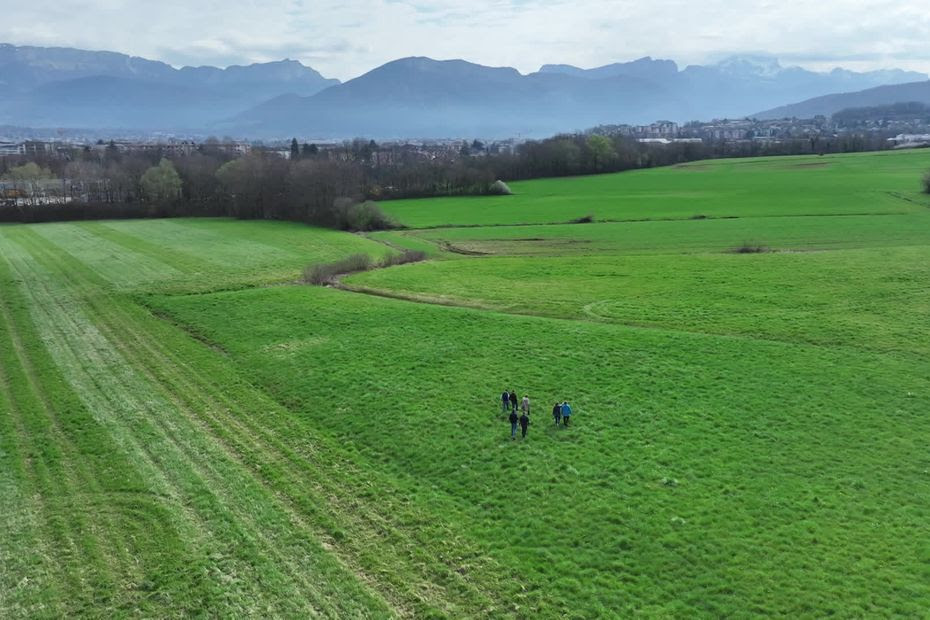 'Un cas emblématique de bétonisation à outrance' : 13 hectares de terres agricoles menacés par un projet de zone industrielle en Haute-Savoie