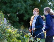 Image of student working at Countess of Chester Country Park