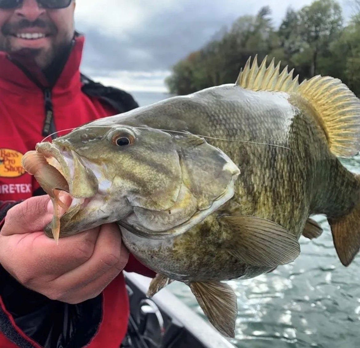 tropy smallmouth bass on Juvy Craw