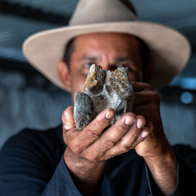 A close-up view of César Perdomo holding up a chunk of terror bird fossil for the viewer while under the tin roof of his makeshift museum. He wears a blue shirt and a cowboy hat and his face is partially covered by the fossil.