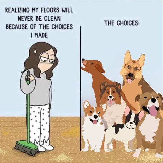Joke-Dogs-Clean-Floors