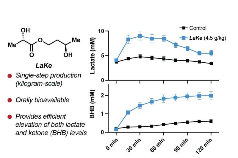 New molecule can mimic the effects of fasting and exercise