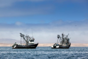 Two fishing vessels on calm seas with a partly cloudy sunset sky in the background