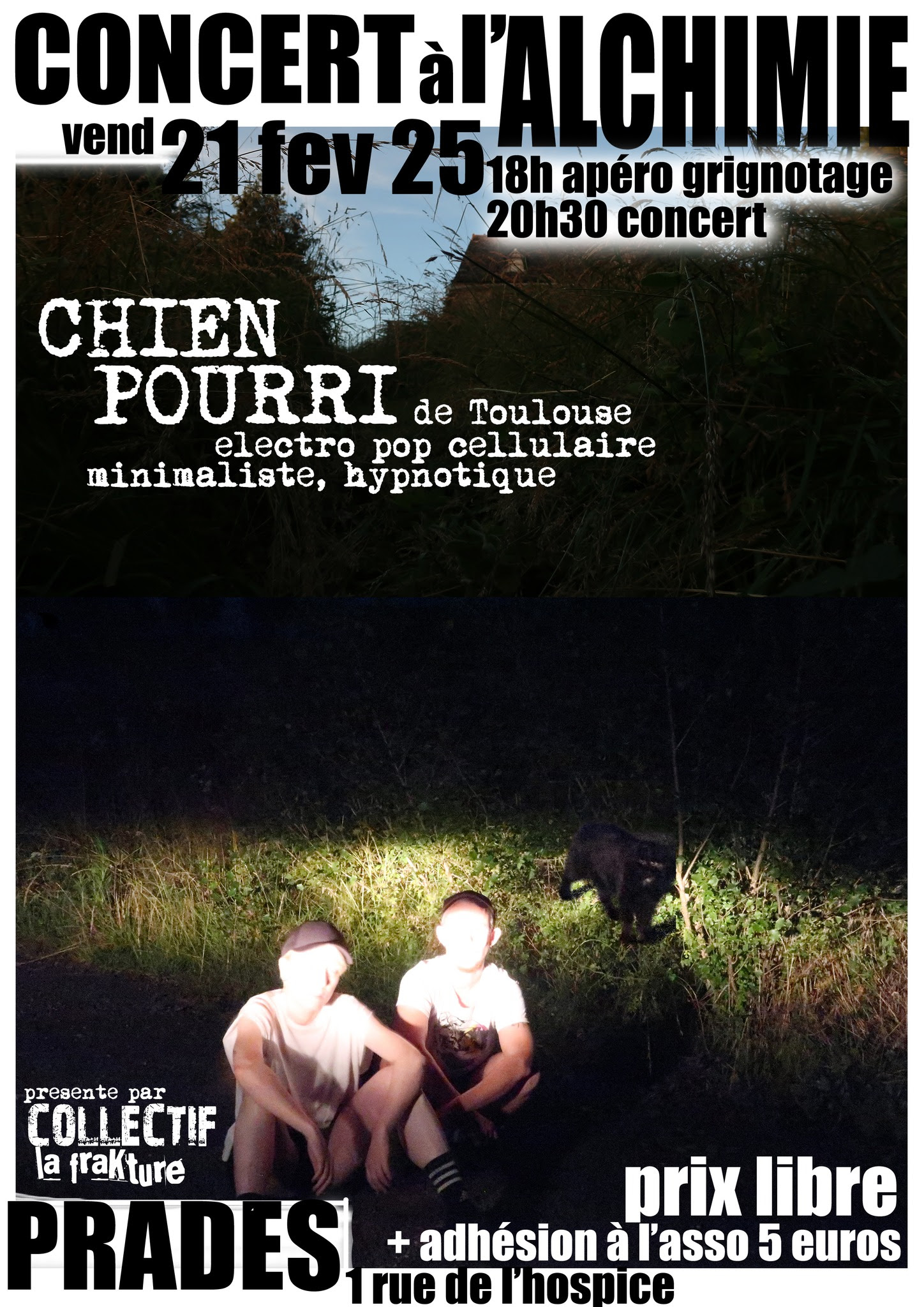 chien_pourri