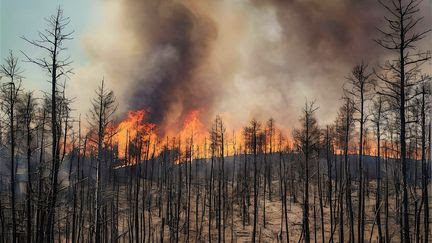 Crise climatique : l'année 2024 a été la plus chaude jamais enregistrée, pour la première fois au-dessus des objectifs  de l'accord de Paris, selon Copernicus