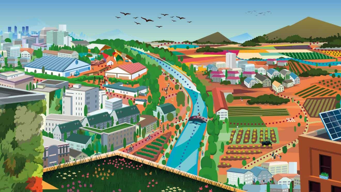 Los gobiernos autonómicos incumplen la ley en materia de infraestructura verde y biodiversidad