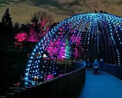 Imagen de Kew Gardens Winter Trail