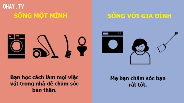 2. Tự chăm sóc bản thân,sống một mình,tự lập,sự khác biệt