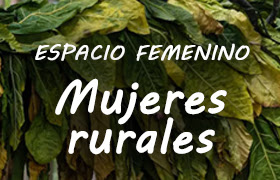 «Espacio femenino. Mujeres rurales». Secaderos. Lola Montero / Instituto Cervantes.