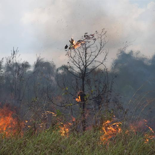 September 7, 2021, Porto Velho, Rondonia, Brazil: Burning of the Amazon Forest, in the city of Porto Velho, in the state of Rondo nia, on the afternoon of Tuesday 7th September. In June, the federal government issued a decree banning burning throughout Brazil for 120 days. Porto Velho Brazil - ZUMAs255 20210907_zip_s255_019 Copyright: xFernandoxSouzax