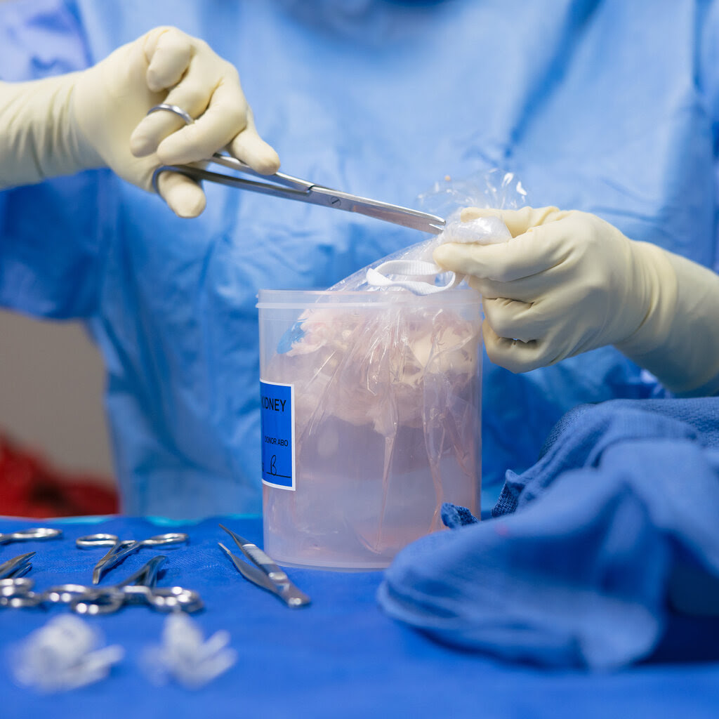 A person in blue surgical gear and medical gloves cuts open a container holding a kidney.