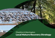 Local Nature Recovery Strategy