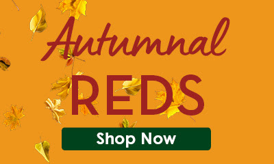 Shop Autumnal Red Wine here