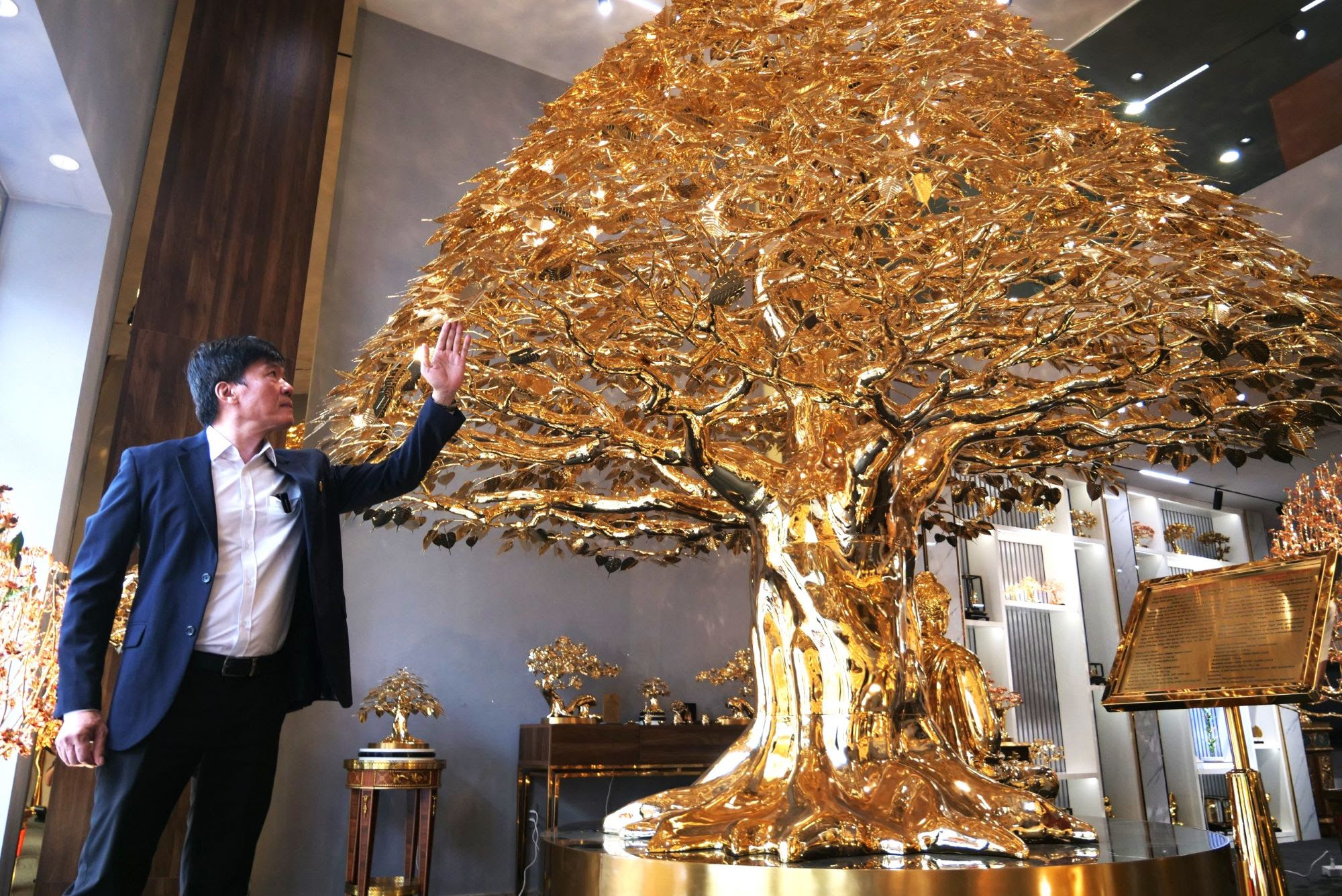 Xuất hiện cây bồ đề mạ vàng giá triệu đô chưng Tết  - Ảnh 1.