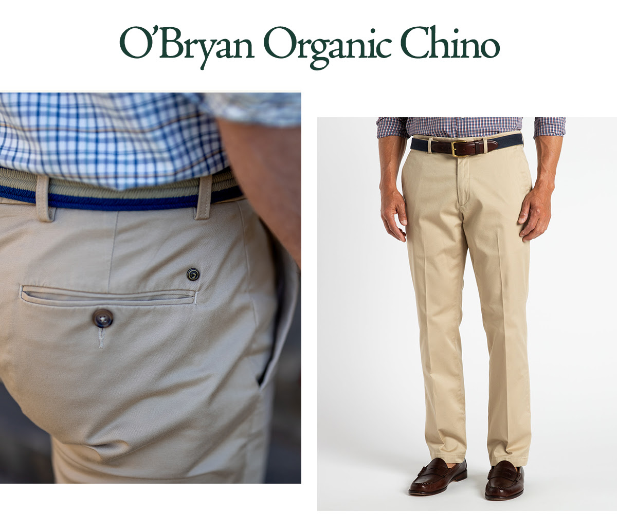 O'Bryan Organic Chino