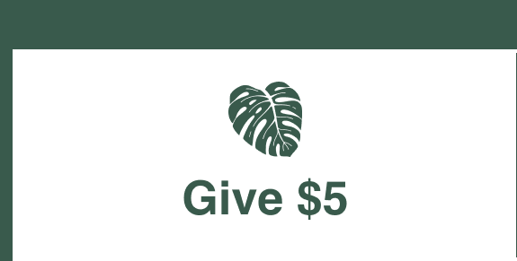 Give 5$