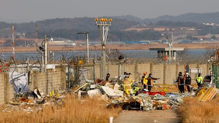 Crash d'un avion en Corée du Sud : le flou persiste sur les causes de l'accident, qui a fait 179 morts