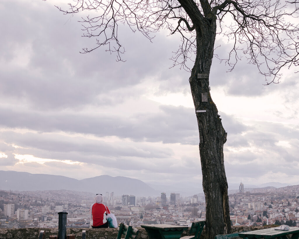 People on a hilltop with Sarajevo below; a tree is in the middle of the picture.