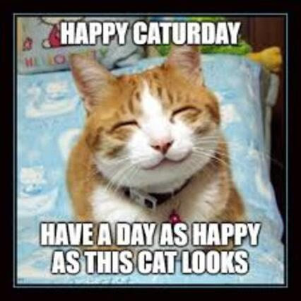 Caturday-Happy-Cat