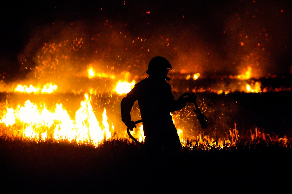 silhouette d’homme debout sur le champ d’herbe pendant la nuit