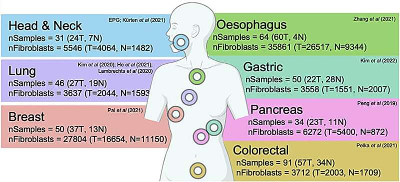 Scientists make cancer discovery that could make immunotherapy more effective