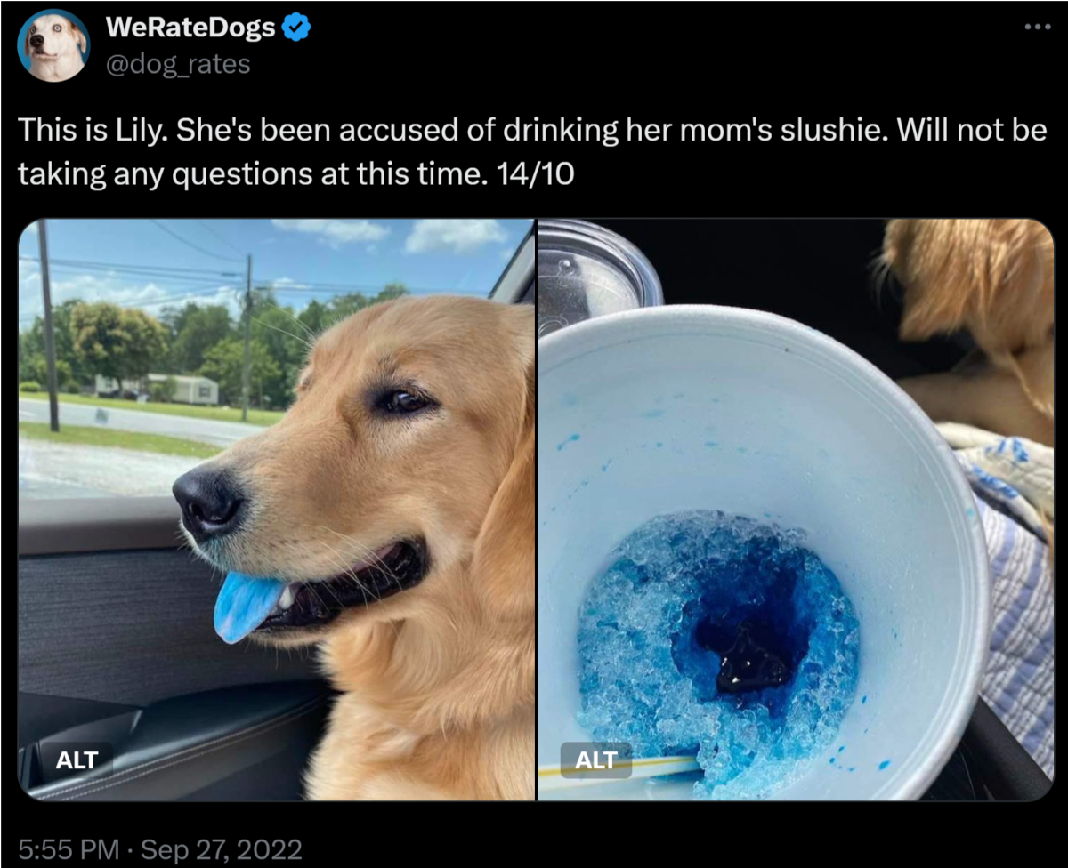 Picture of dog with blue tongue next to a picture of a mostly empty blue slushie cup.