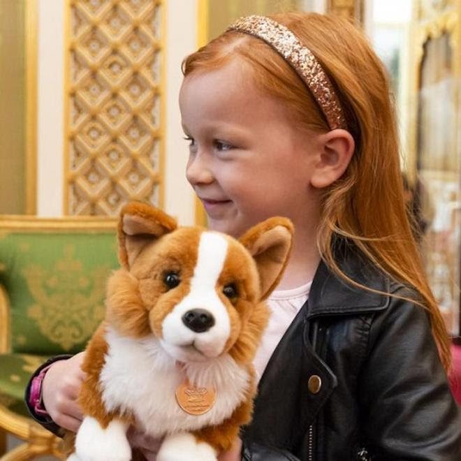 A little girl holding a cuddly corgi on a family guided tour