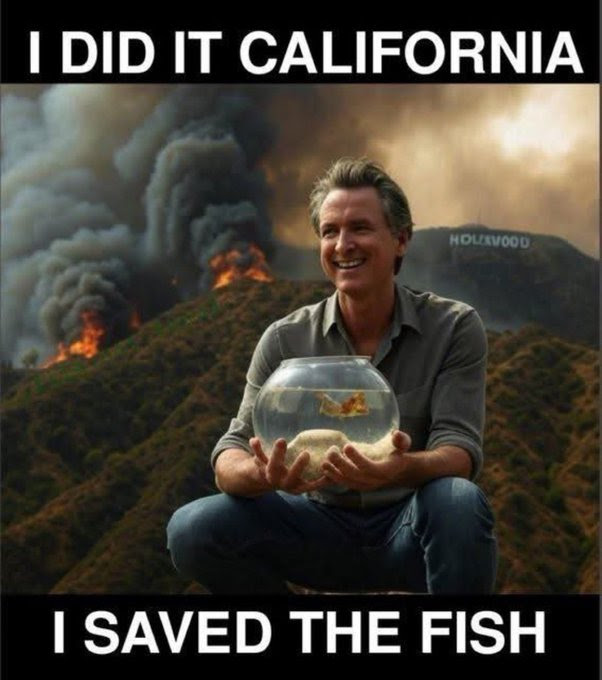 Gov. Newsom holding a fish bowl.