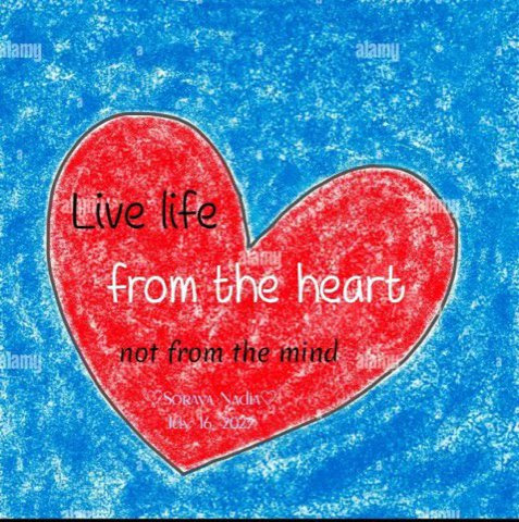 Heart-not-Mind-Live-life