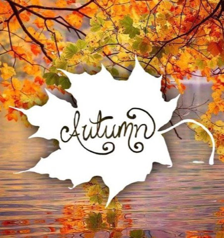 Autumn-Leaf-White