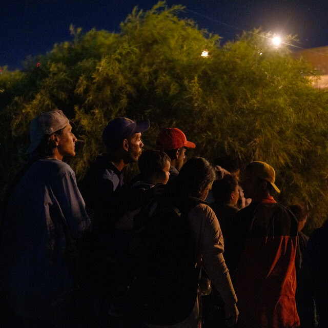 Migrants in the bushes near the border.