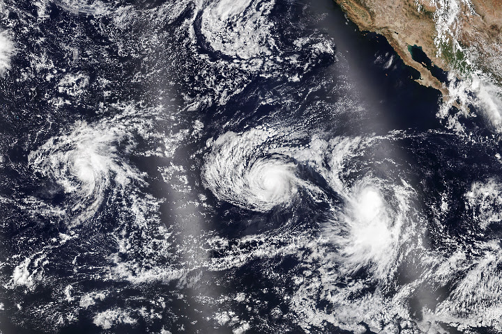 Storms Line the Northeast Pacific